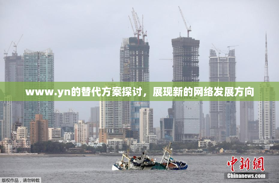 www.yn的替代方案探讨，展现新的网络发展方向