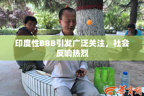 印度性BBB引发广泛关注，社会反响热烈