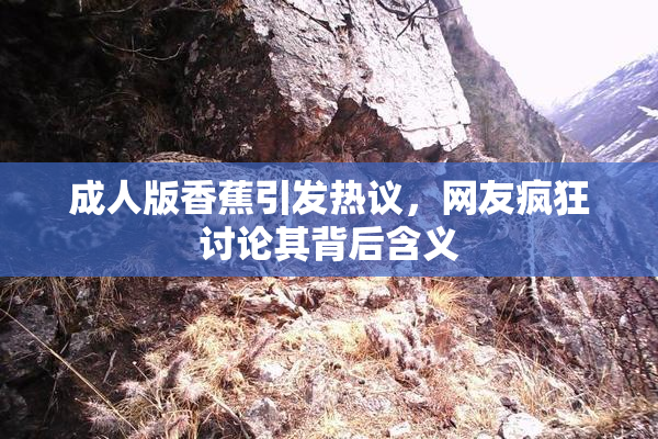 成人版香蕉引发热议，网友疯狂讨论其背后含义