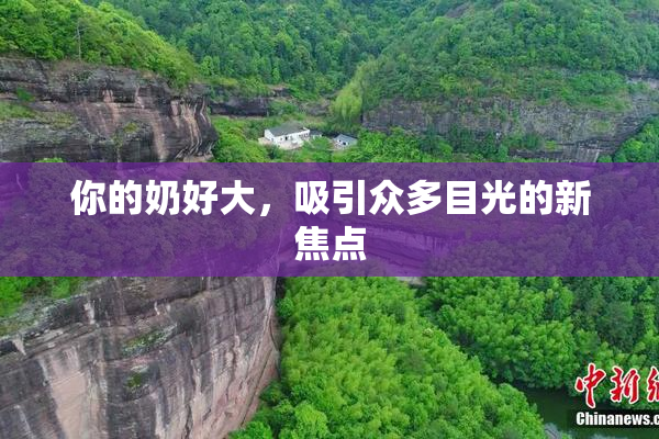 你的奶好大，吸引众多目光的新焦点