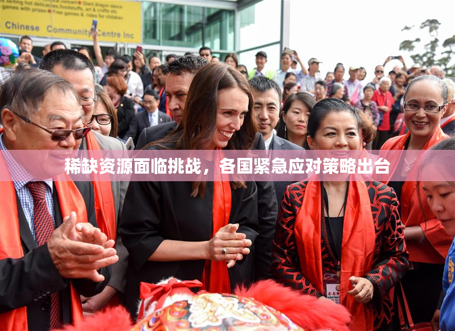 稀缺资源面临挑战，各国紧急应对策略出台