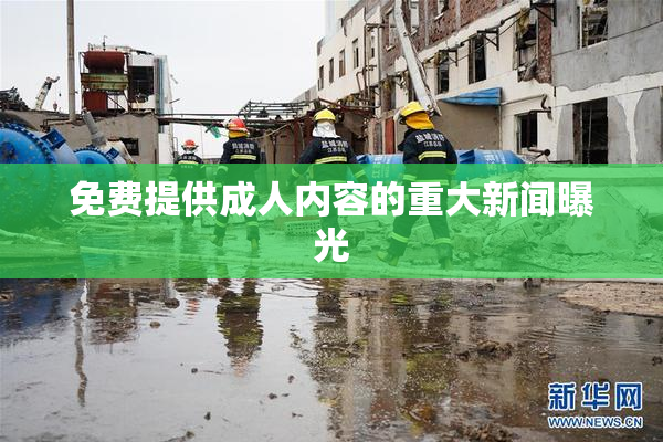 免费提供成人内容的重大新闻曝光