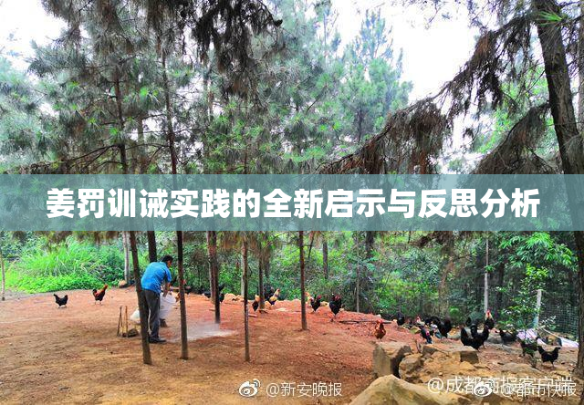 姜罚训诫实践的全新启示与反思分析