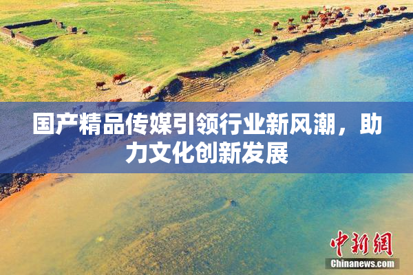 国产精品传媒引领行业新风潮，助力文化创新发展