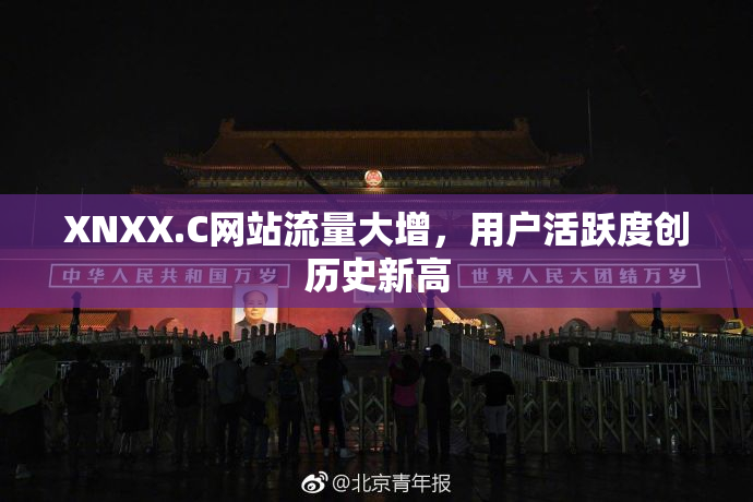 XNXX.C网站流量大增，用户活跃度创历史新高