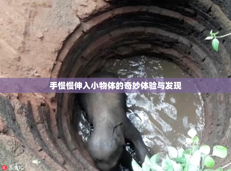 手慢慢伸入小物体的奇妙体验与发现