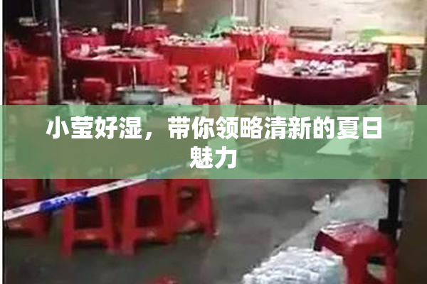 小莹好湿，带你领略清新的夏日魅力