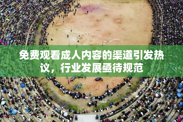 免费观看成人内容的渠道引发热议，行业发展亟待规范