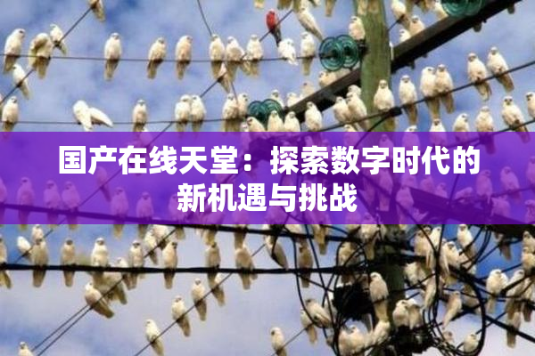 国产在线天堂：探索数字时代的新机遇与挑战