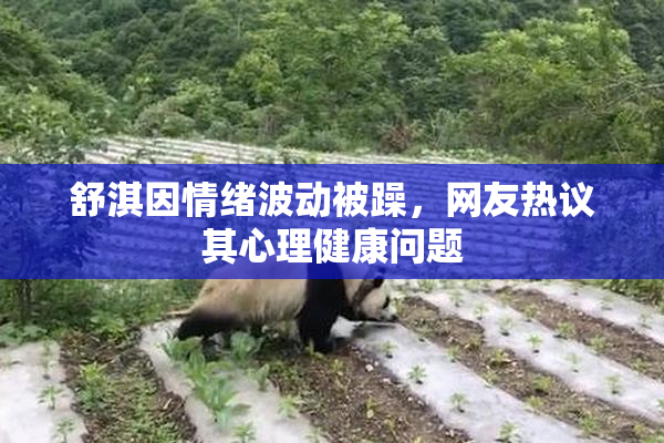 舒淇因情绪波动被躁，网友热议其心理健康问题