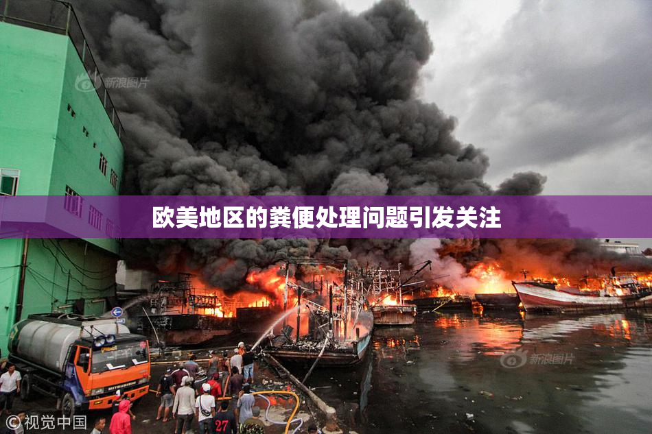 欧美地区的粪便处理问题引发关注