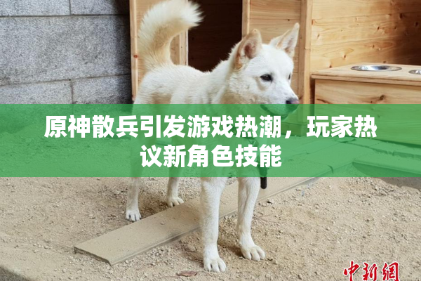 原神散兵引发游戏热潮，玩家热议新角色技能