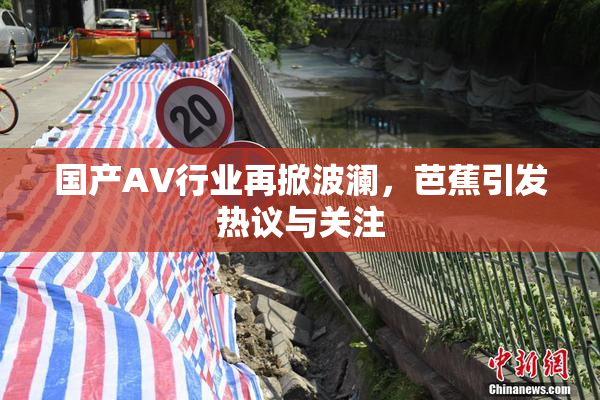 国产AV行业再掀波澜，芭蕉引发热议与关注