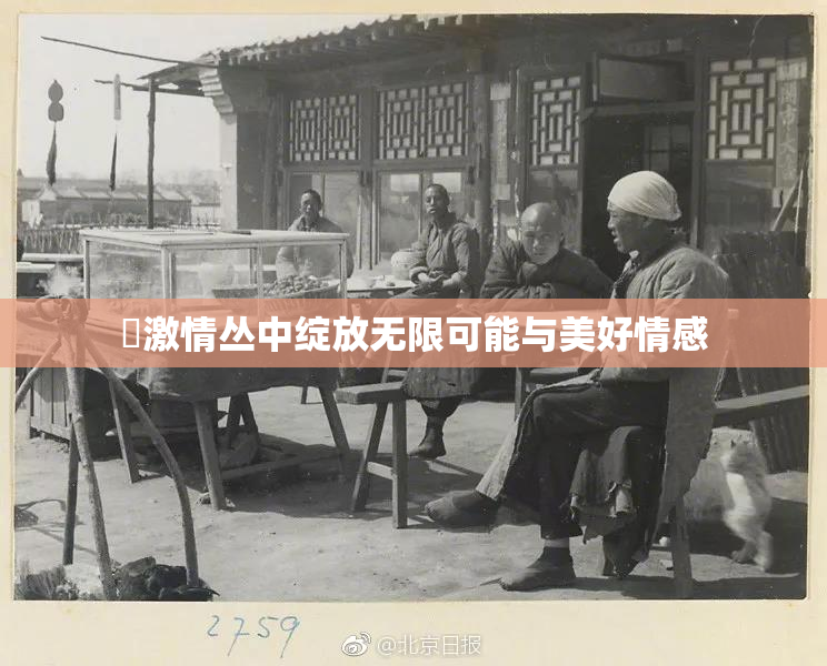 巜激情丛中绽放无限可能与美好情感
