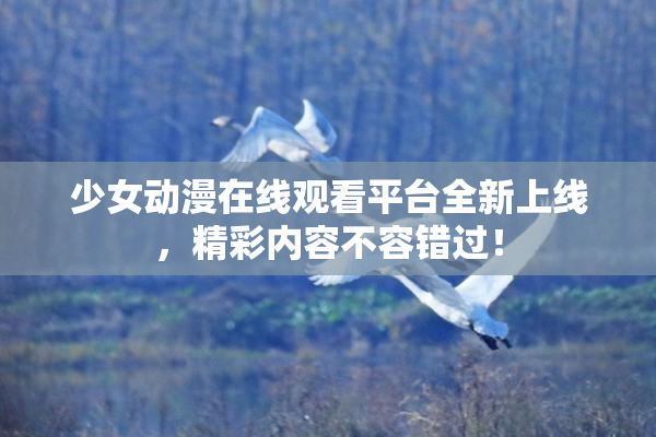 少女动漫在线观看平台全新上线，精彩内容不容错过！