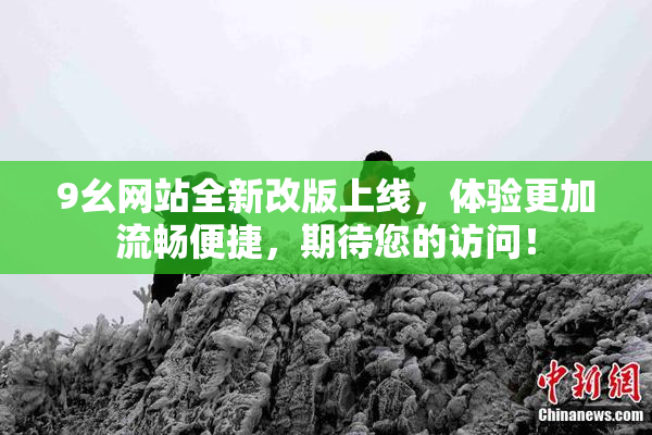 9幺网站全新改版上线，体验更加流畅便捷，期待您的访问！