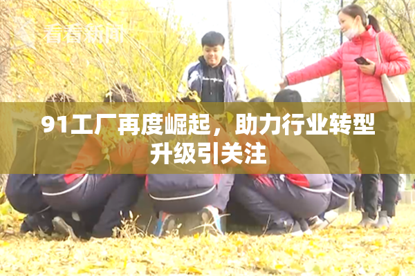 91工厂再度崛起，助力行业转型升级引关注