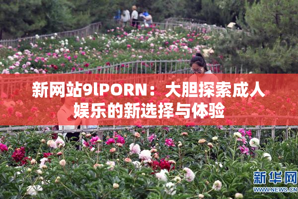 新网站9lPORN：大胆探索成人娱乐的新选择与体验