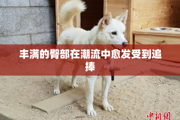 丰满的臀部在潮流中愈发受到追捧