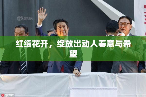 红缨花开，绽放出动人春意与希望