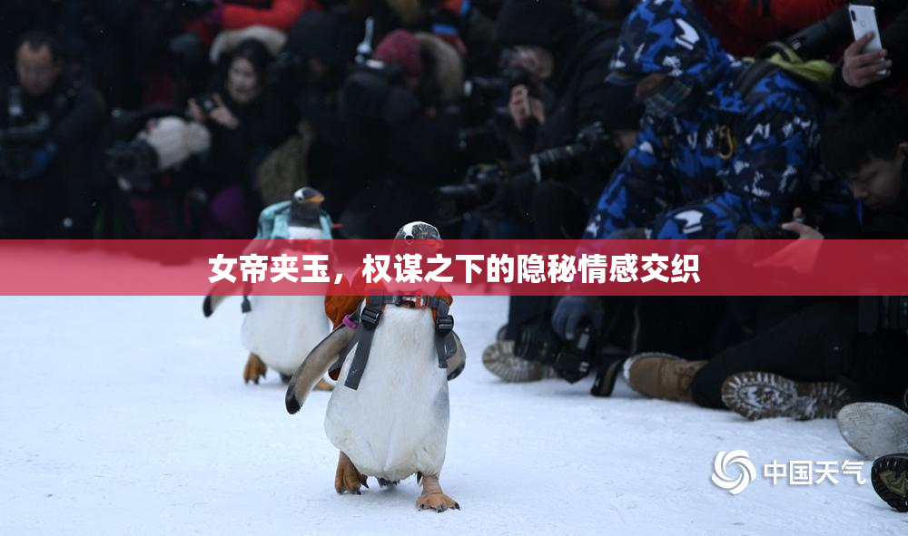 女帝夹玉，权谋之下的隐秘情感交织