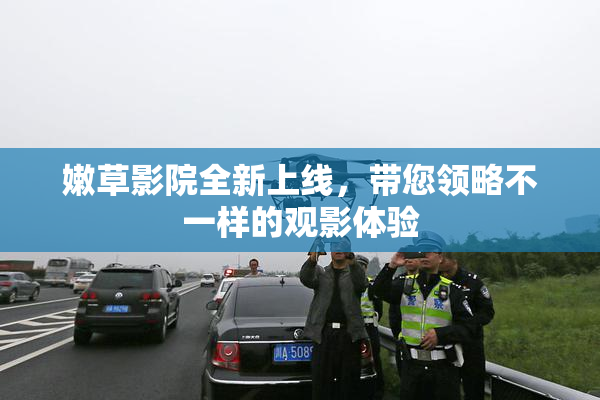 嫩草影院全新上线，带您领略不一样的观影体验