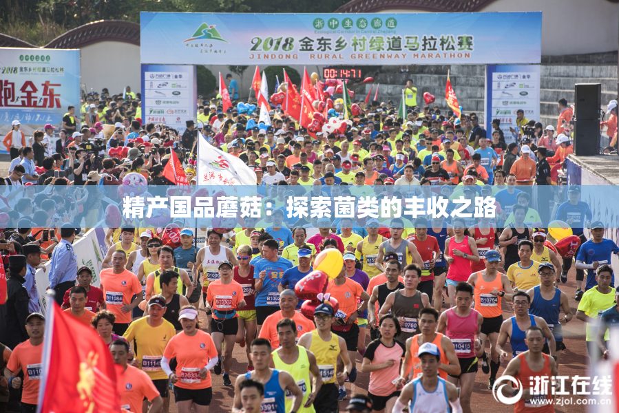 精产国品蘑菇：探索菌类的丰收之路