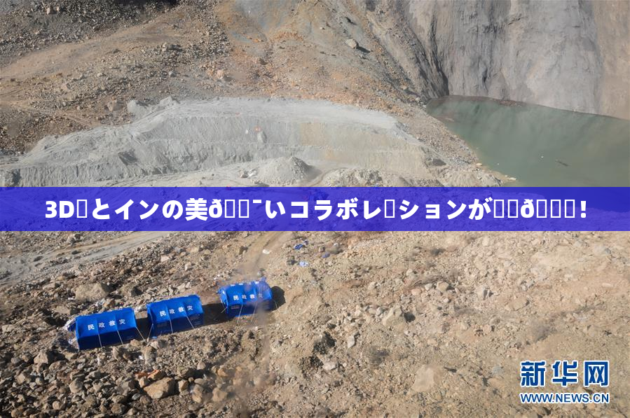 3D姉とインの美🔯いコラボレーションが話題🎆！