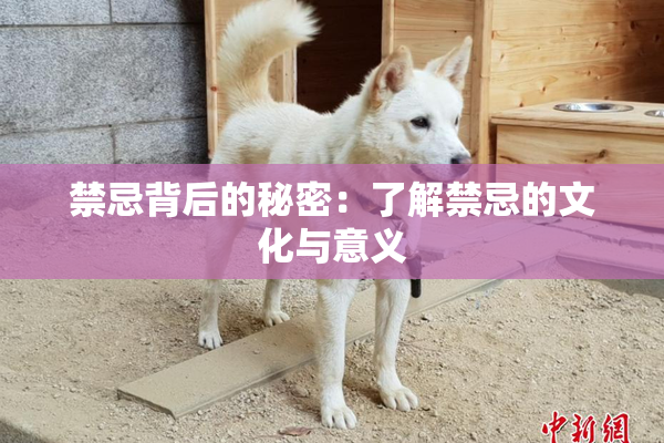 禁忌背后的秘密：了解禁忌的文化与意义