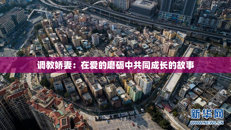 调教娇妻：在爱的磨砺中共同成长的故事