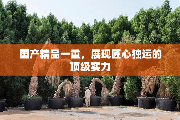 国产精品一重，展现匠心独运的顶级实力