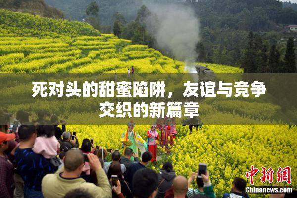 死对头的甜蜜陷阱，友谊与竞争交织的新篇章