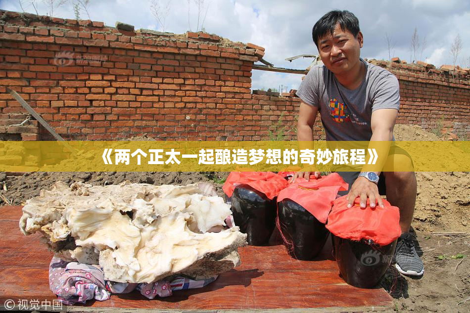 《两个正太一起酿造梦想的奇妙旅程》