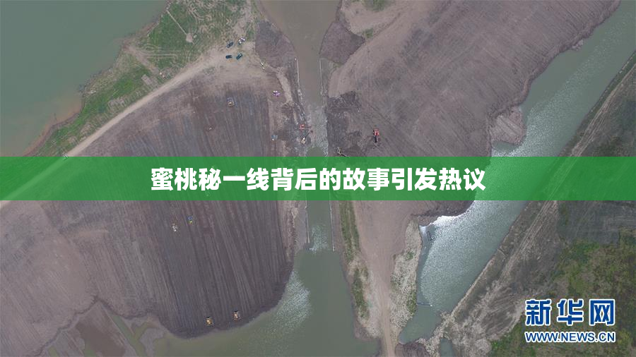 蜜桃秘一线背后的故事引发热议