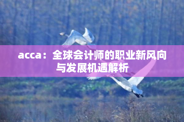 acca：全球会计师的职业新风向与发展机遇解析