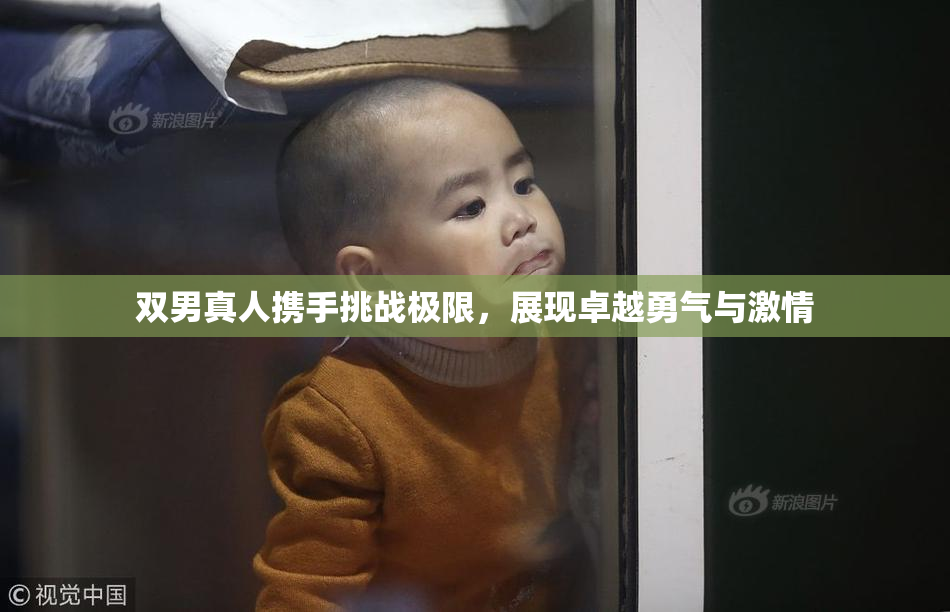 双男真人携手挑战极限，展现卓越勇气与激情