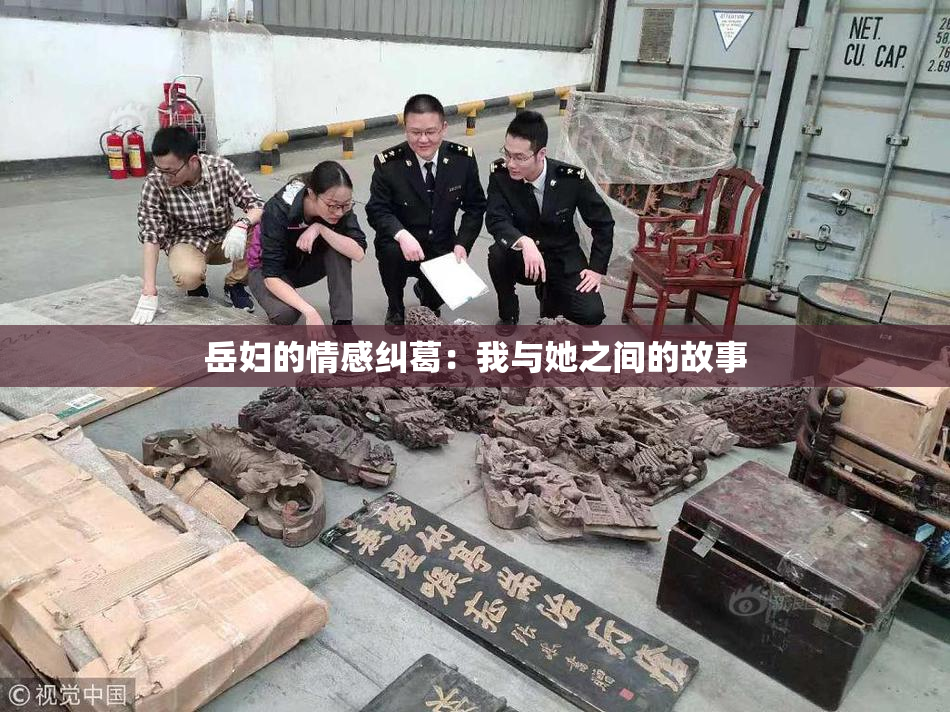 岳妇的情感纠葛：我与她之间的故事