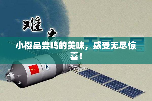 小樱品尝鸣的美味，感受无尽惊喜！