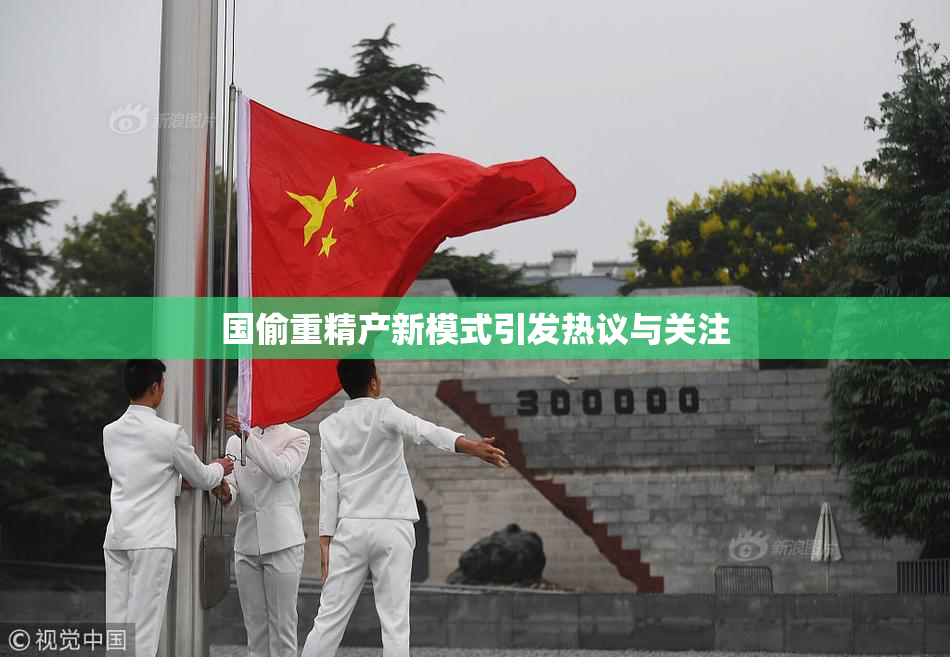 国偷重精产新模式引发热议与关注