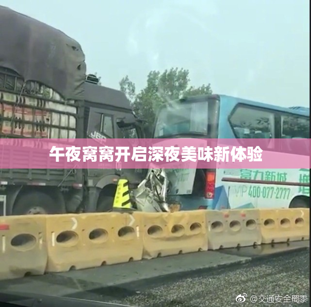 午夜窝窝开启深夜美味新体验