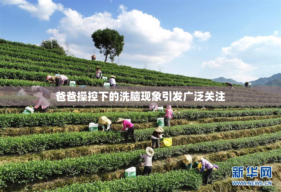 爸爸操控下的洗脑现象引发广泛关注