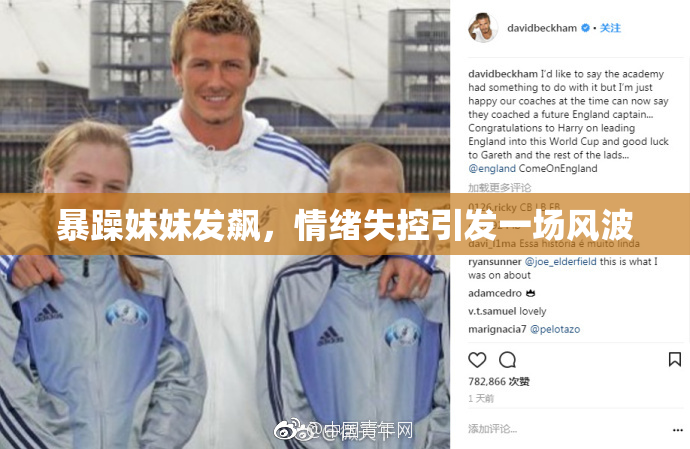 暴躁妹妹发飙，情绪失控引发一场风波