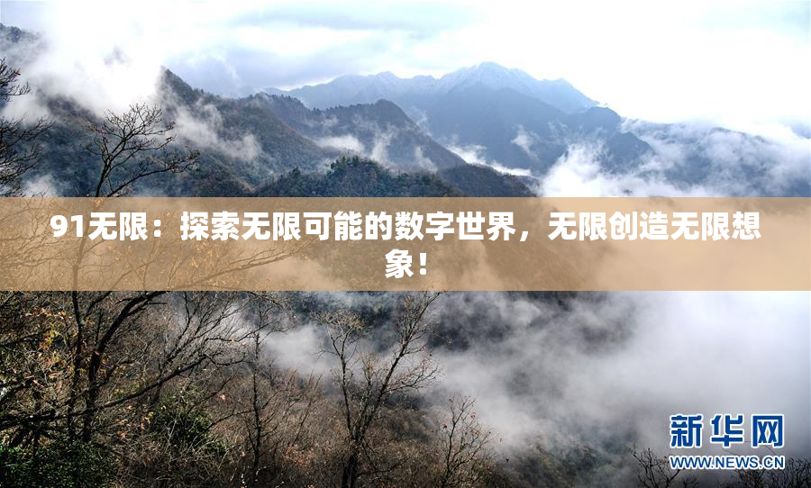 91无限：探索无限可能的数字世界，无限创造无限想象！