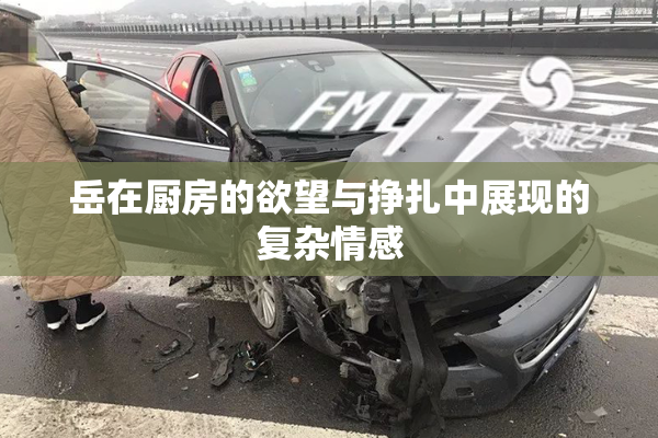 岳在厨房的欲望与挣扎中展现的复杂情感