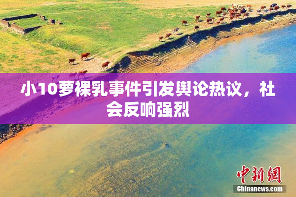 小10萝裸乳事件引发舆论热议，社会反响强烈