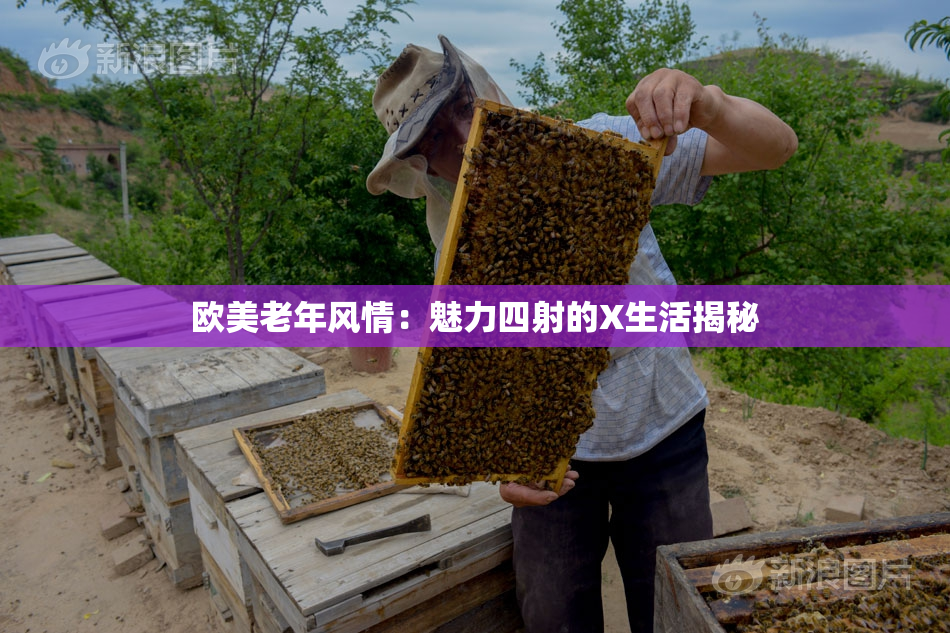 欧美老年风情：魅力四射的X生活揭秘
