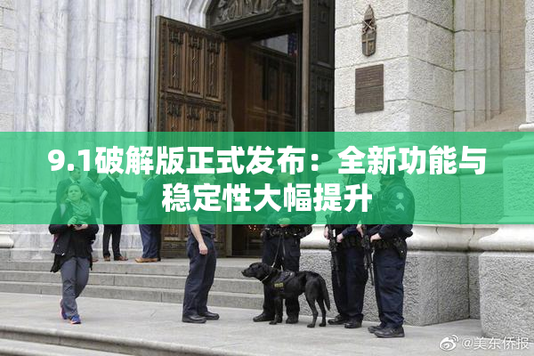 9.1破解版正式发布：全新功能与稳定性大幅提升
