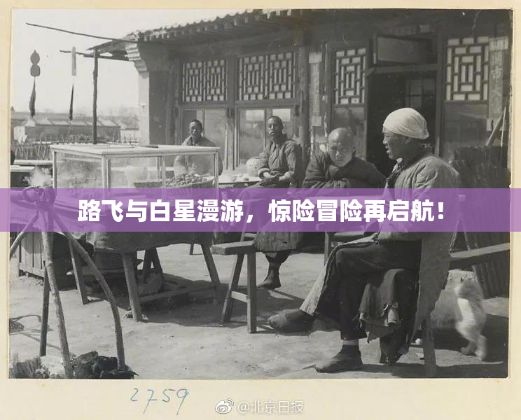 路飞与白星漫游，惊险冒险再启航！