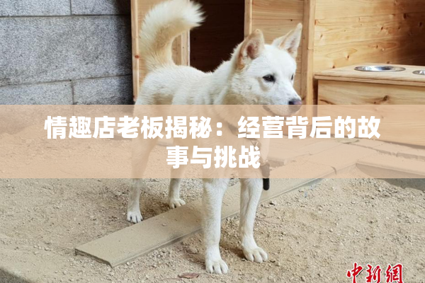 情趣店老板揭秘：经营背后的故事与挑战