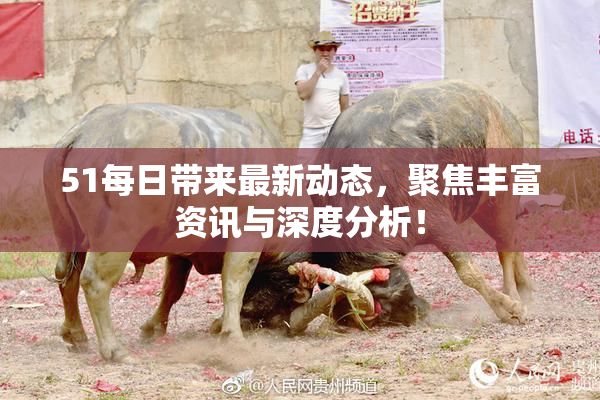 51每日带来最新动态，聚焦丰富资讯与深度分析！